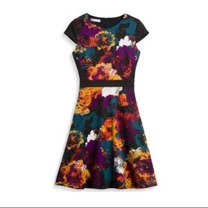 London times NWT floral sheath dress size 2